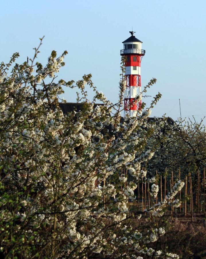 Fewo Blankenese Im Haus Luehegarten Gruenendeich Экстерьер фото