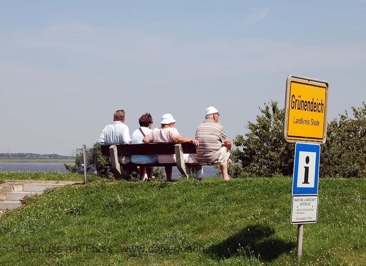 Fewo Blankenese Im Haus Luehegarten Gruenendeich Экстерьер фото